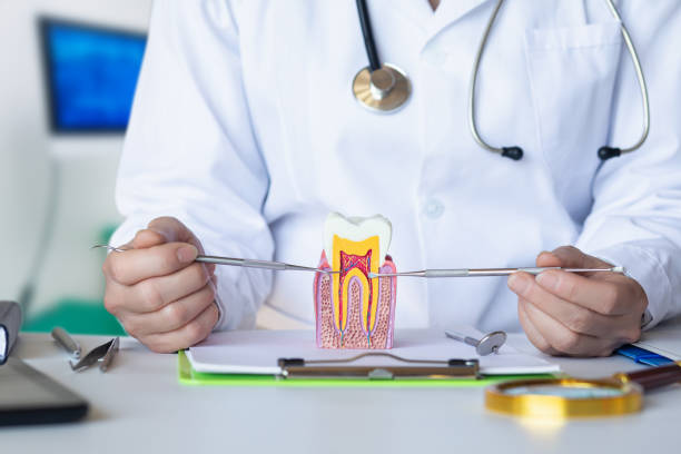 Best After-Hours Dental Care in Johnson City, KS